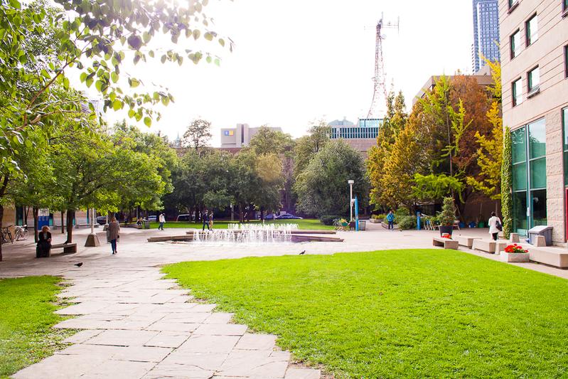 Parco del campus della Metropolitan University