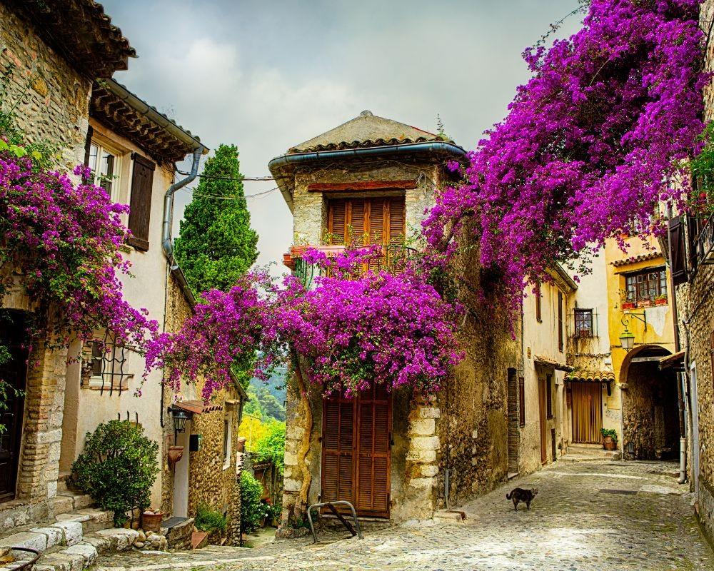 Vicolo con lavanda di un tipico villaggio provenzale