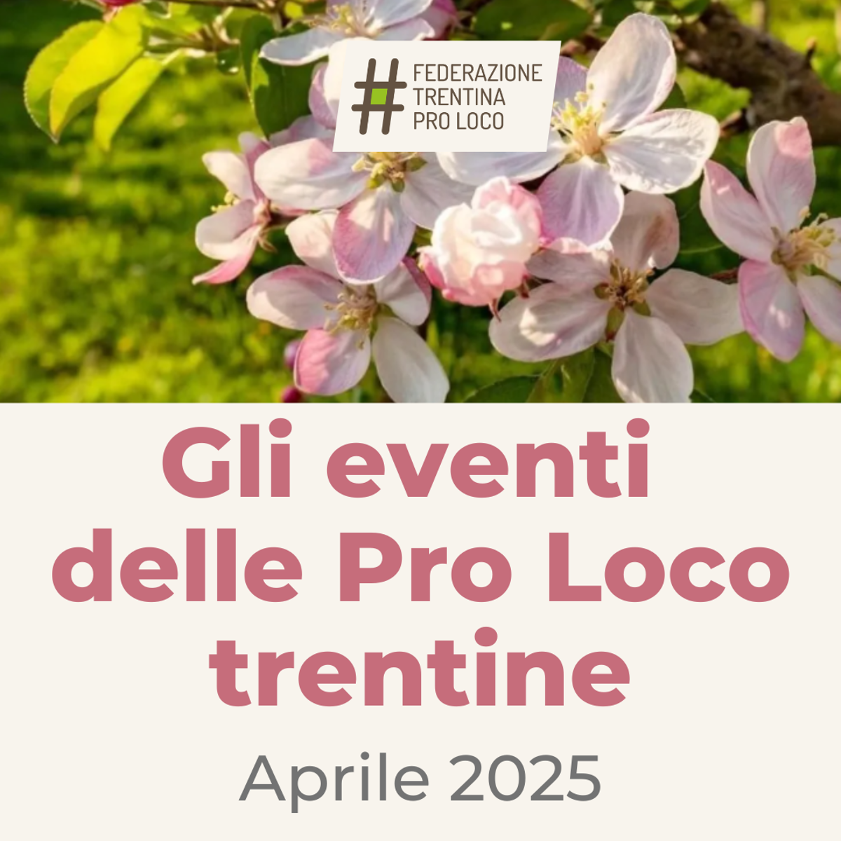 Fiori Val di Non