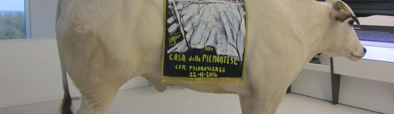 HOME OF PIEMONTESE - CARRÙ