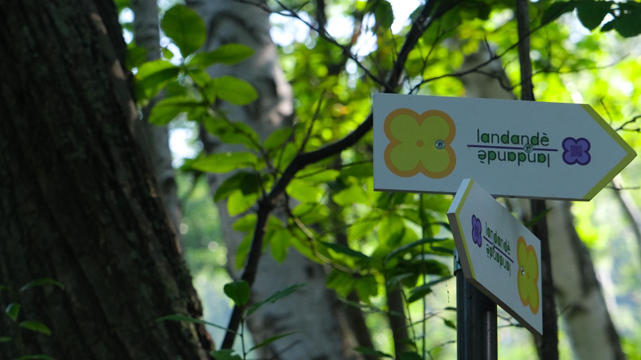 LANDANDÈ - PETALO GIALLO