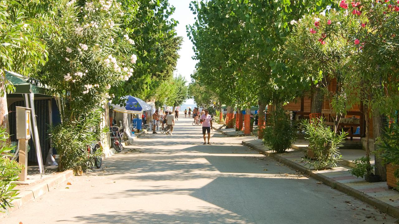 Campomarino, Camping Village La Pineta