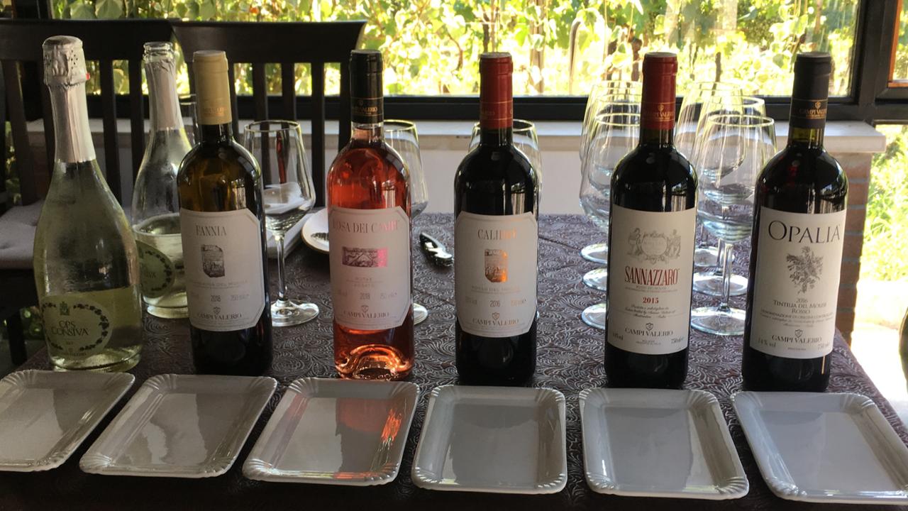 Wine Tasting / Degustazione Vini