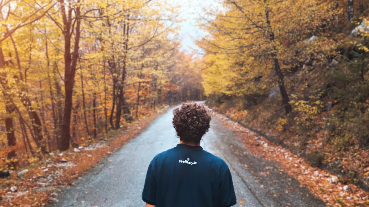 Feelitaly - Authentic Experience