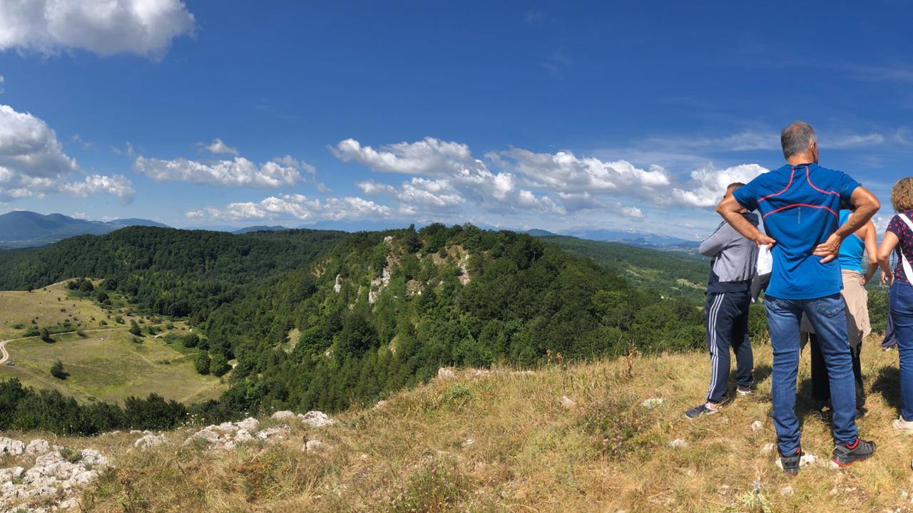 Dedalo - archeologia e cultura