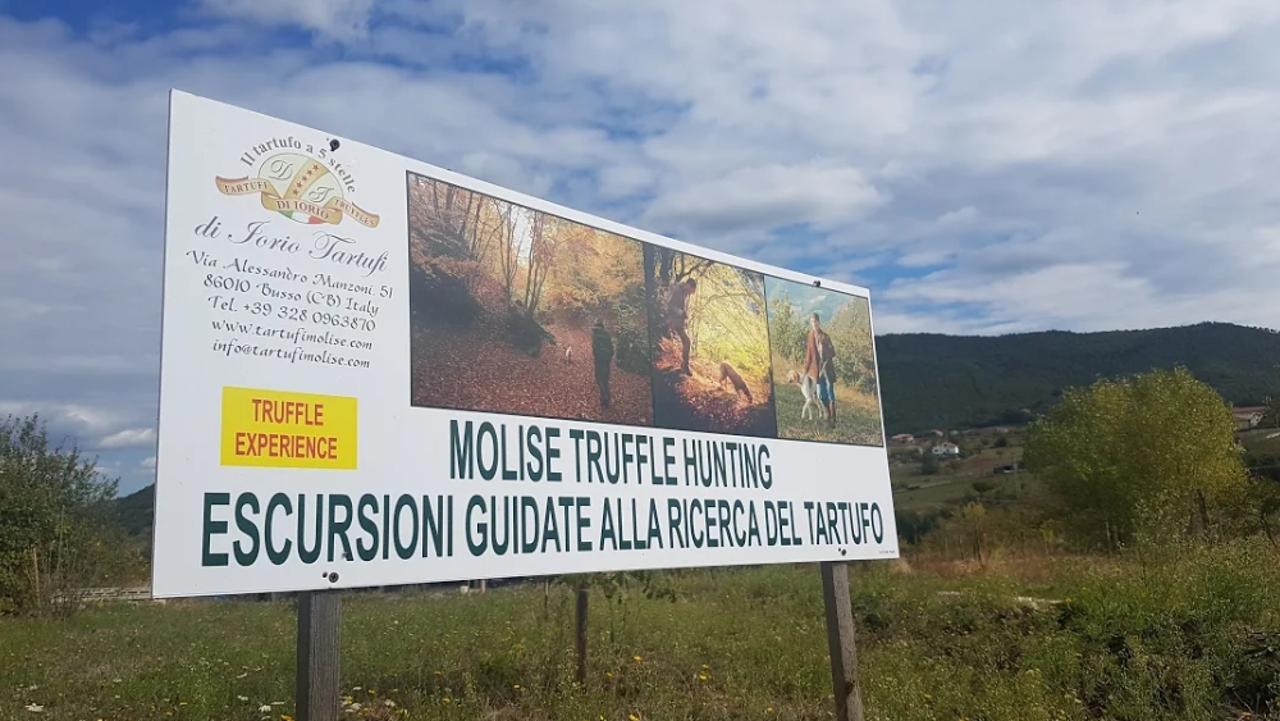 Di Iorio Tartufi