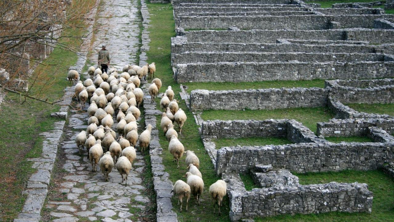 Michela Ciamarra - Guida Turistica