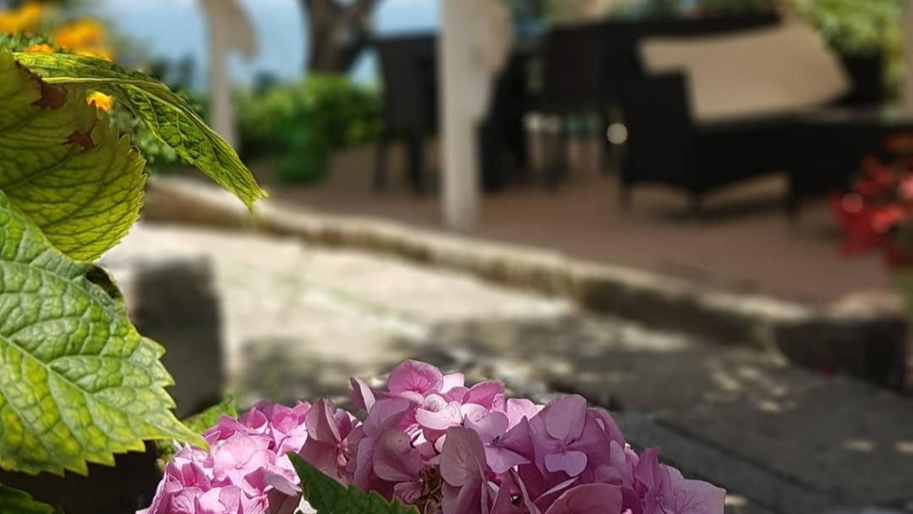 La terrazza sul mare