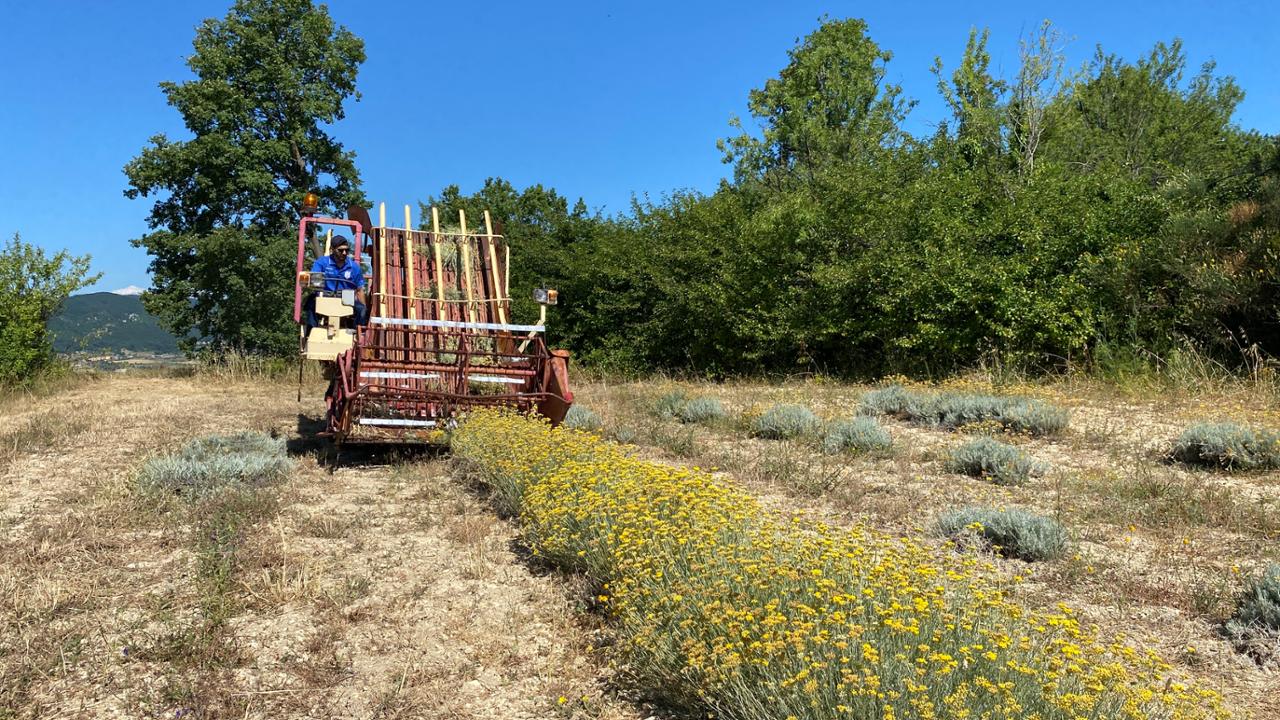 Visita azienda Biogroup e Officine Naturali