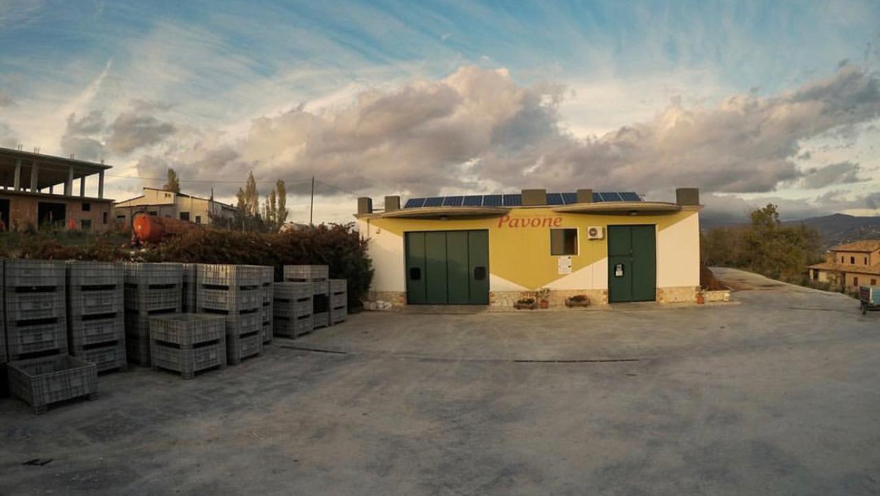 Frantoio Oleario Pavone