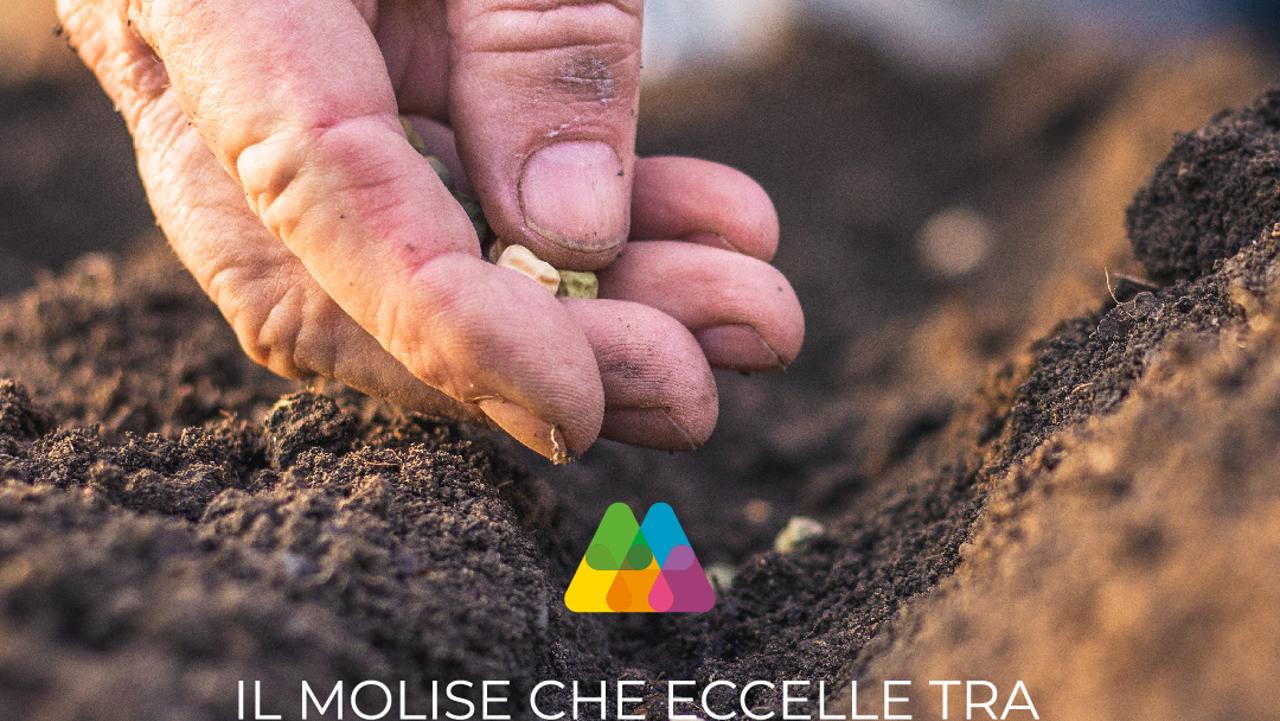 Molise Eccellenze
