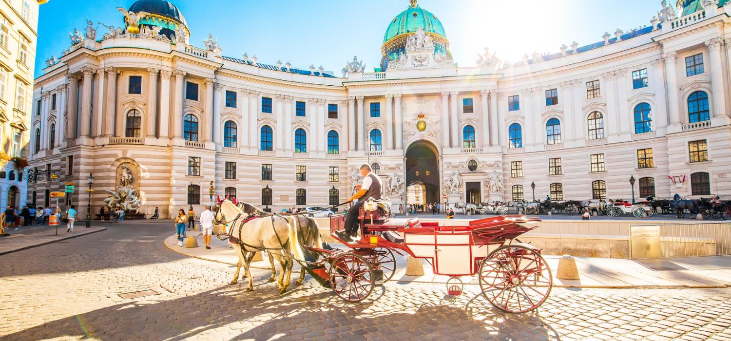 Anno all'estero Austria Palazzo Hofburg