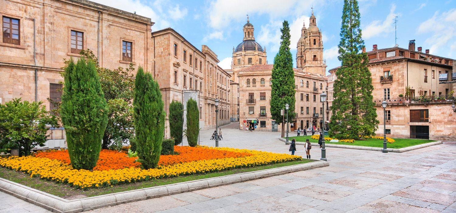Aiuole con fiori nel centro di Salamanca