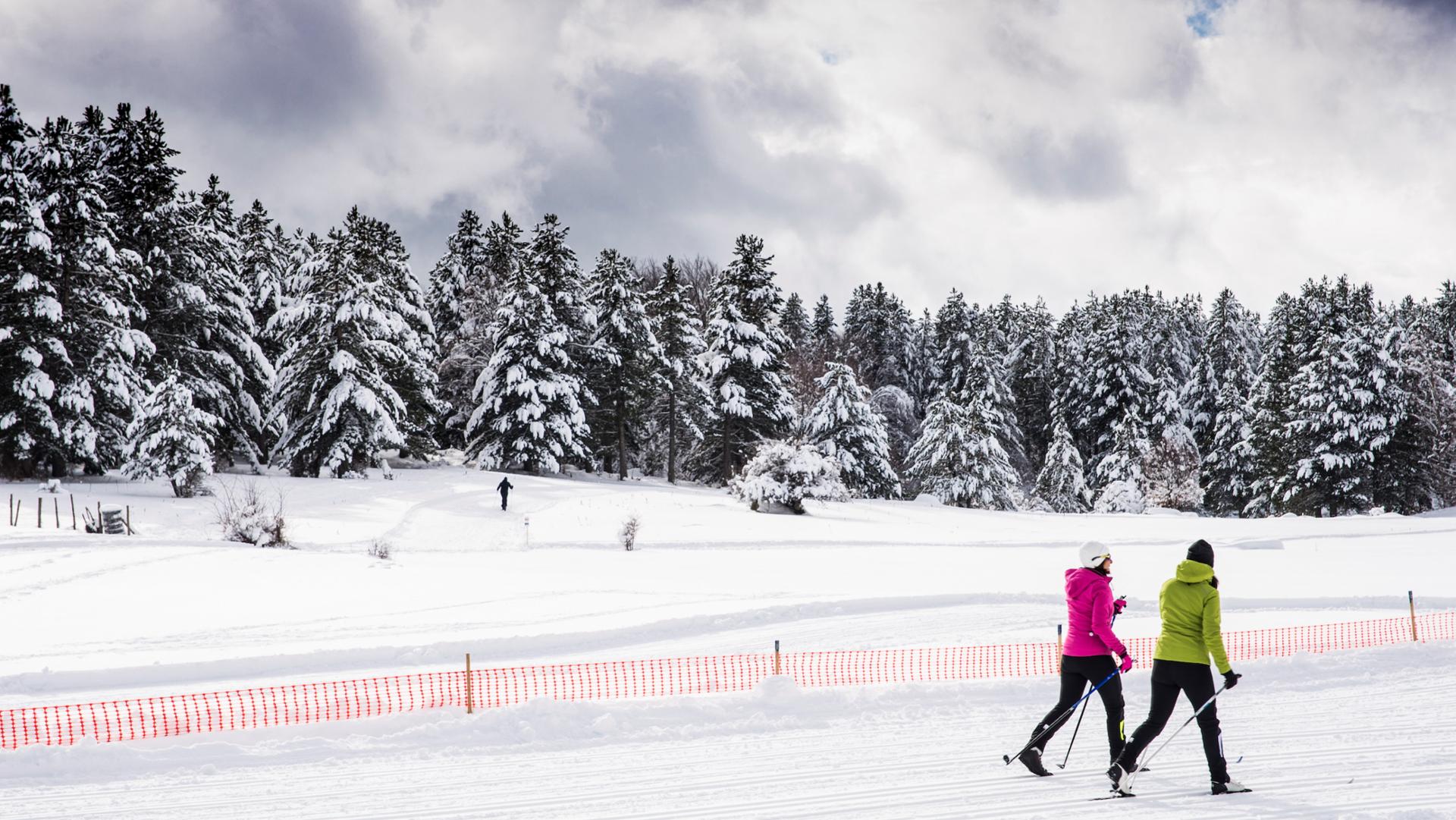 Escursione di snow trekking in Sila