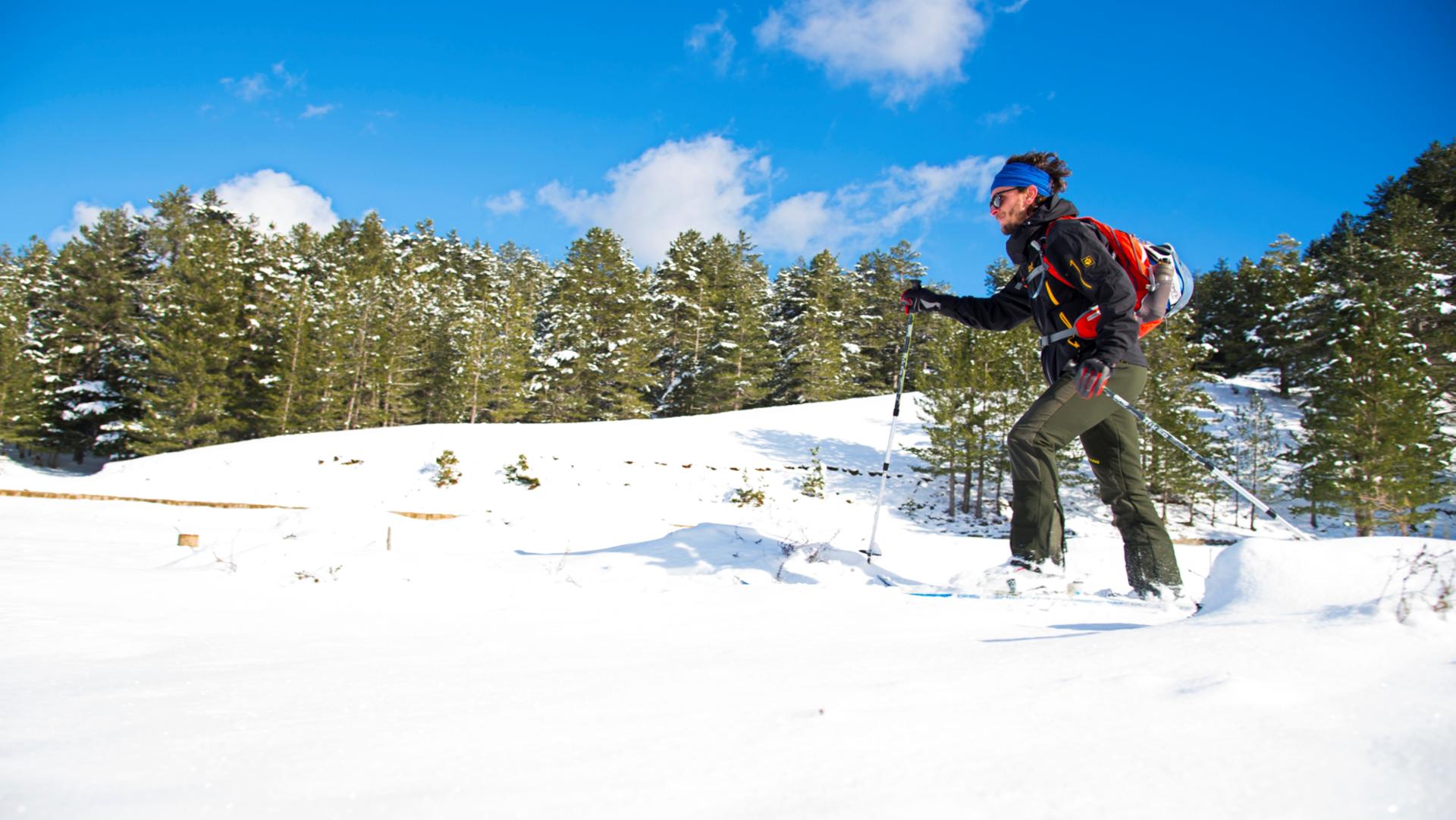 Escursione di snow trekking in Sila