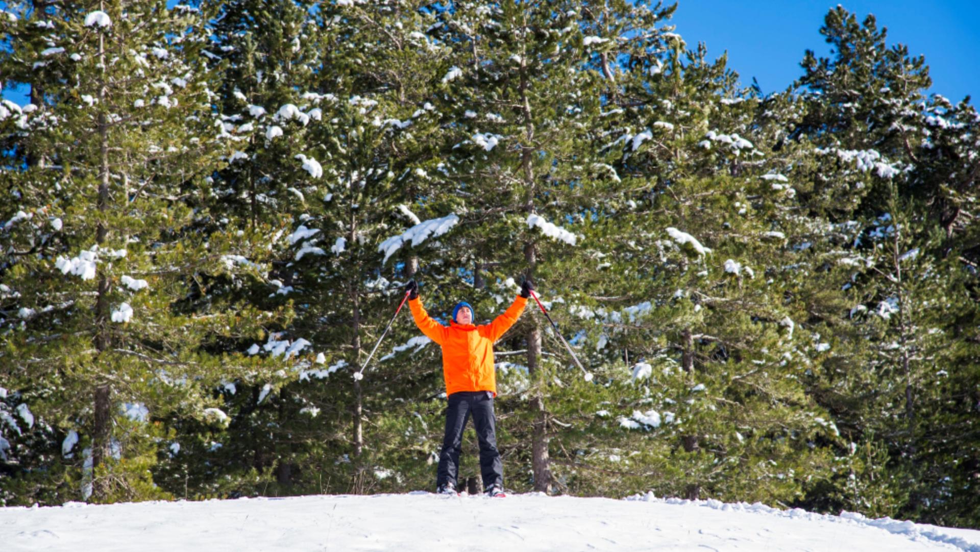 Escursione di snow trekking in Sila