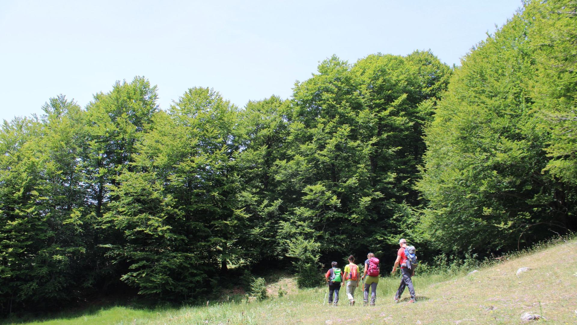Trekking e natura Sila