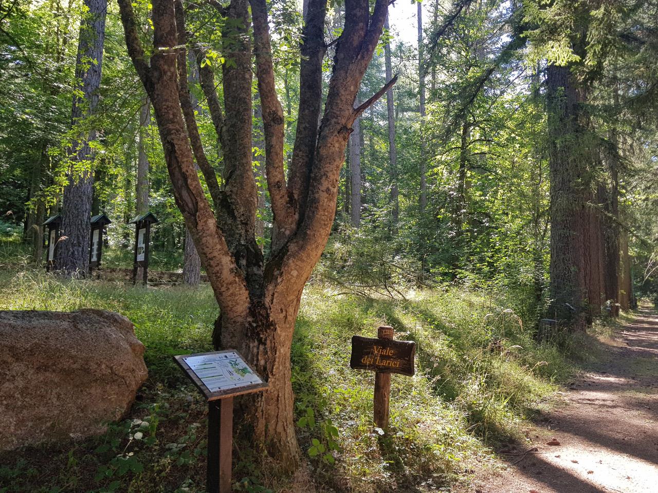 Arboreto del Parco