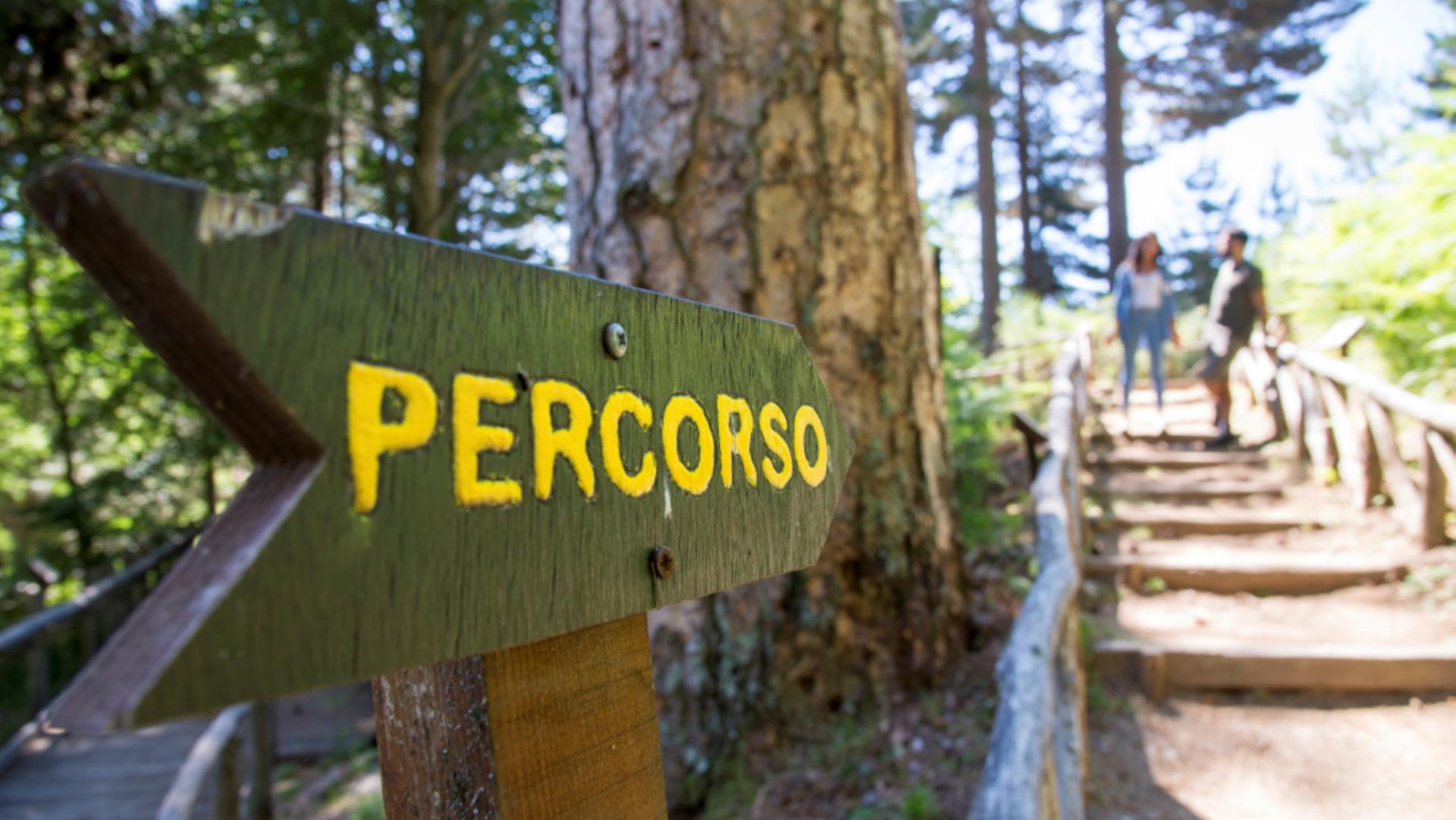 Riserva Giganti della Sila