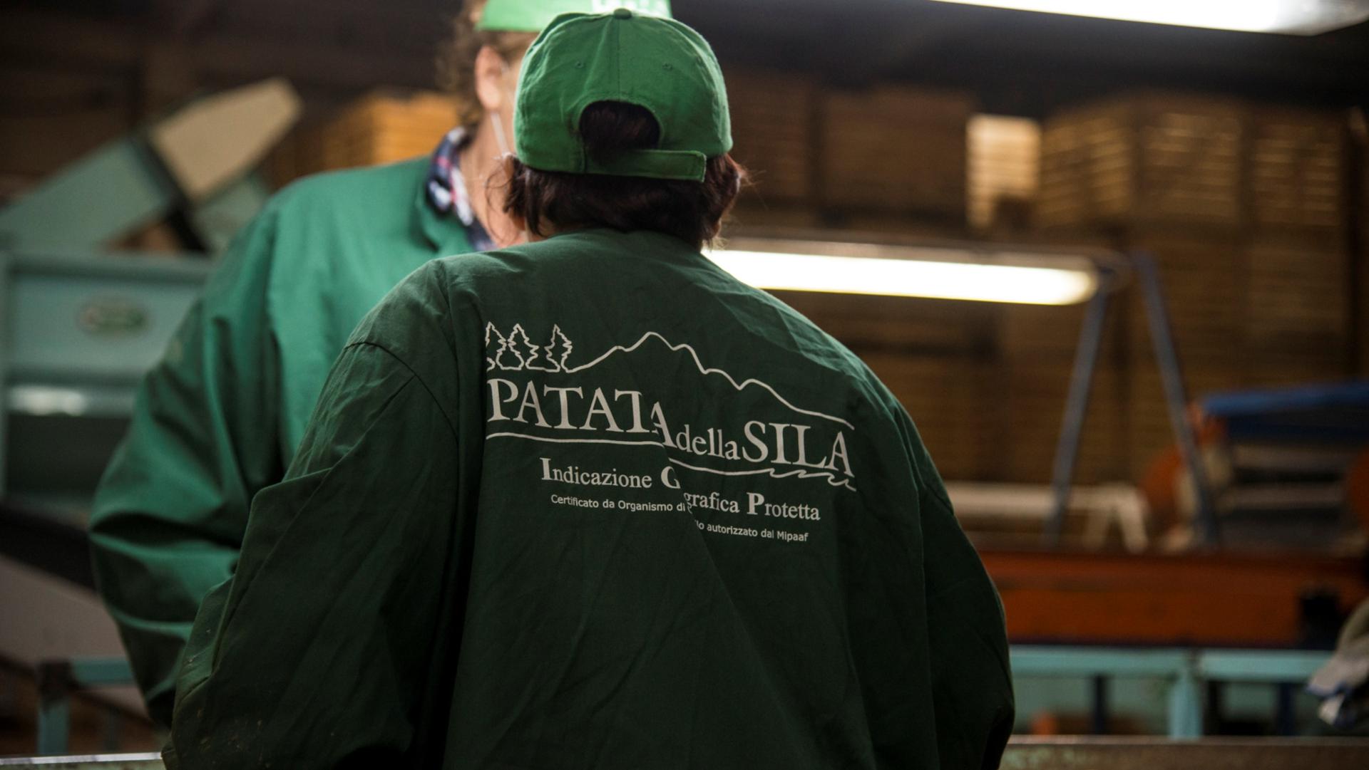 Patata della Sila IGP