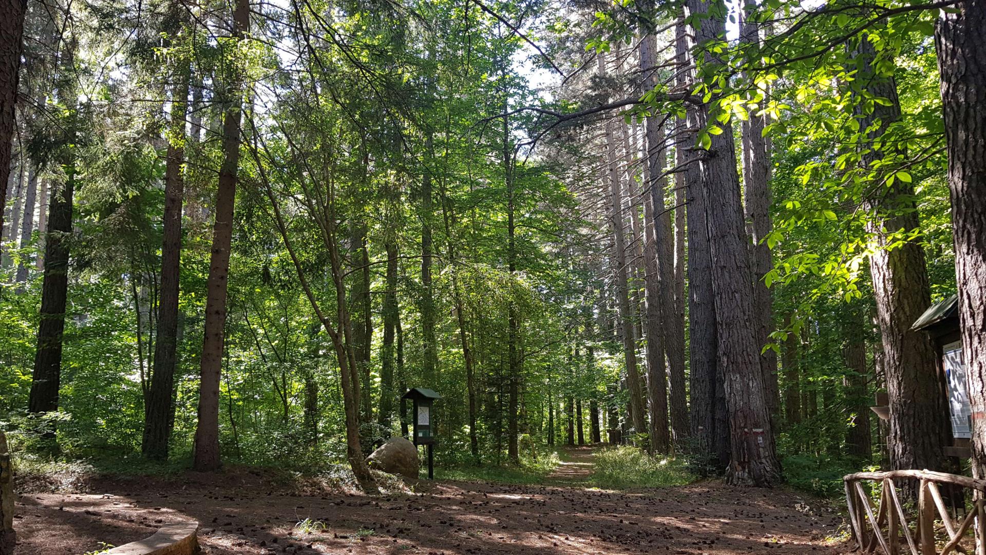 Arboreto del Parco