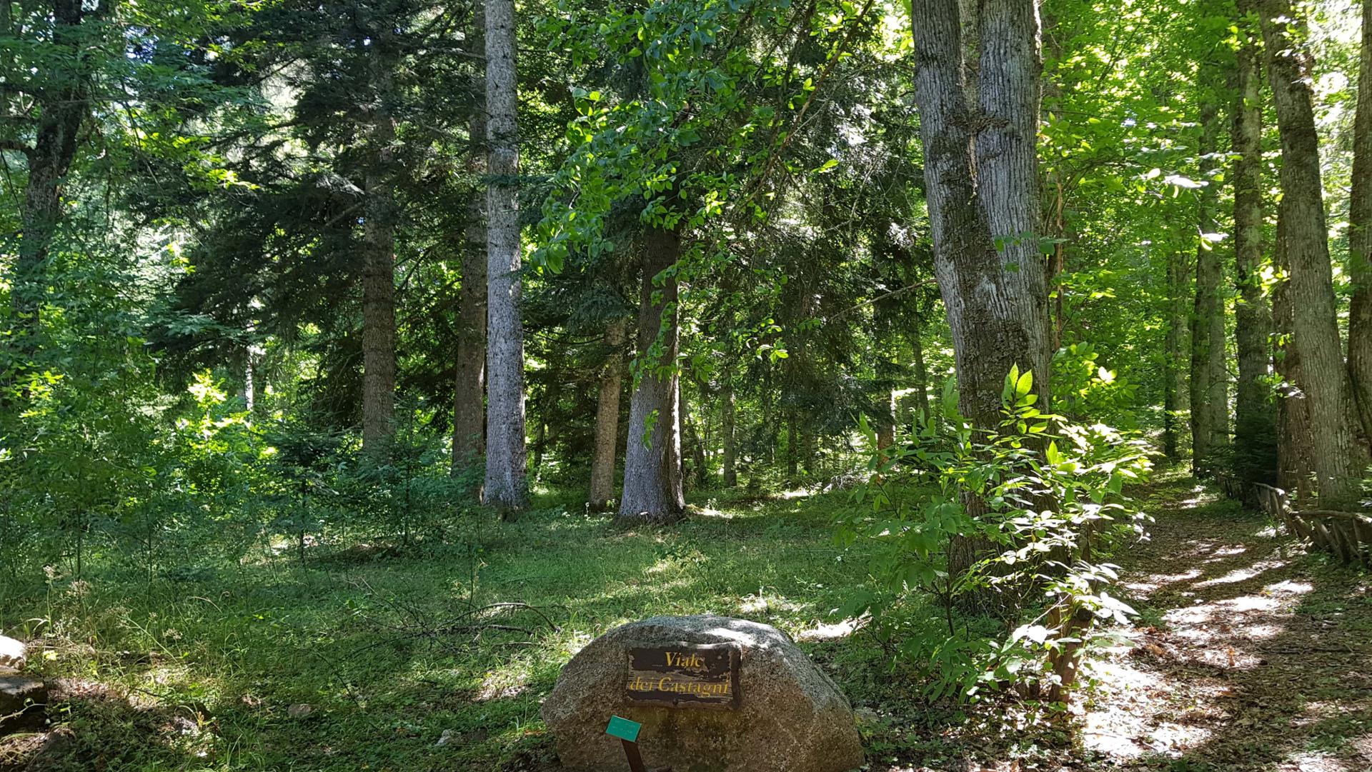 Arboreto del Parco