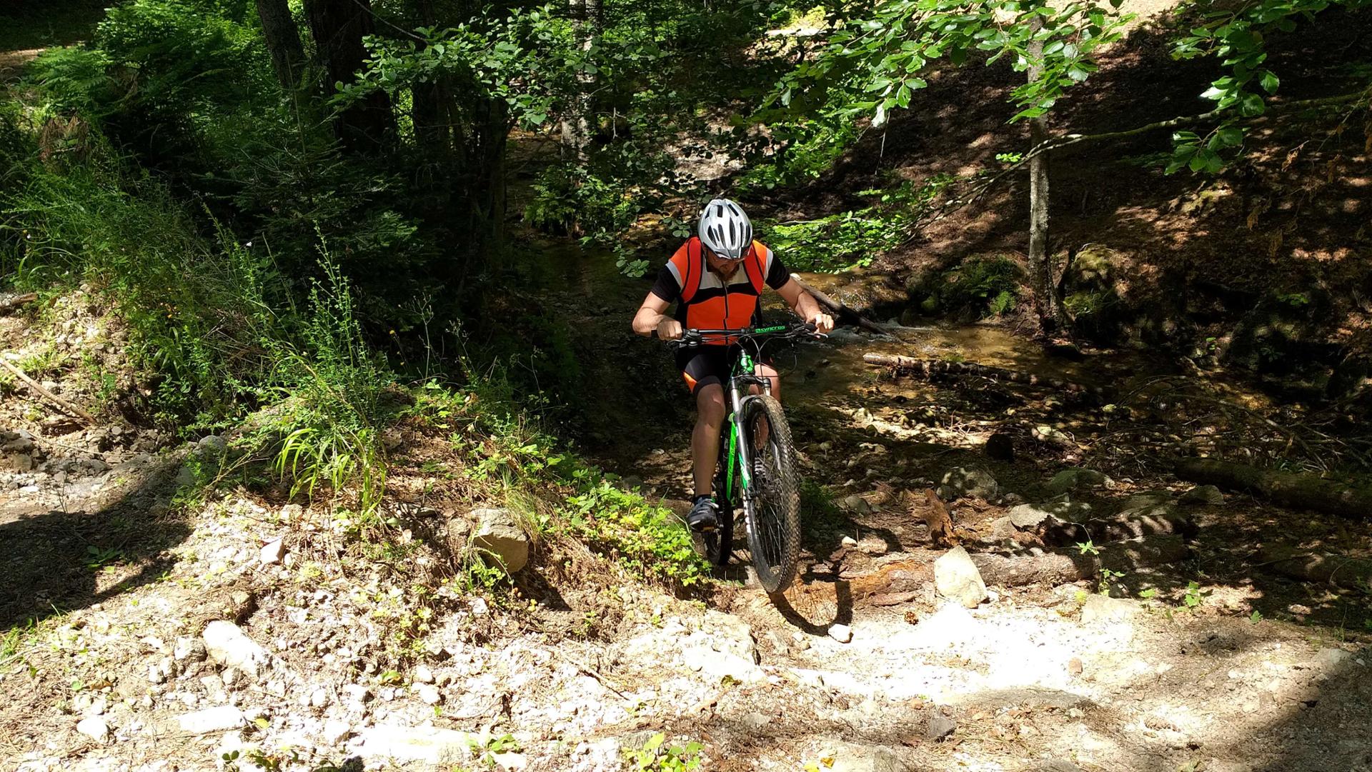 Escursione bike in Sila