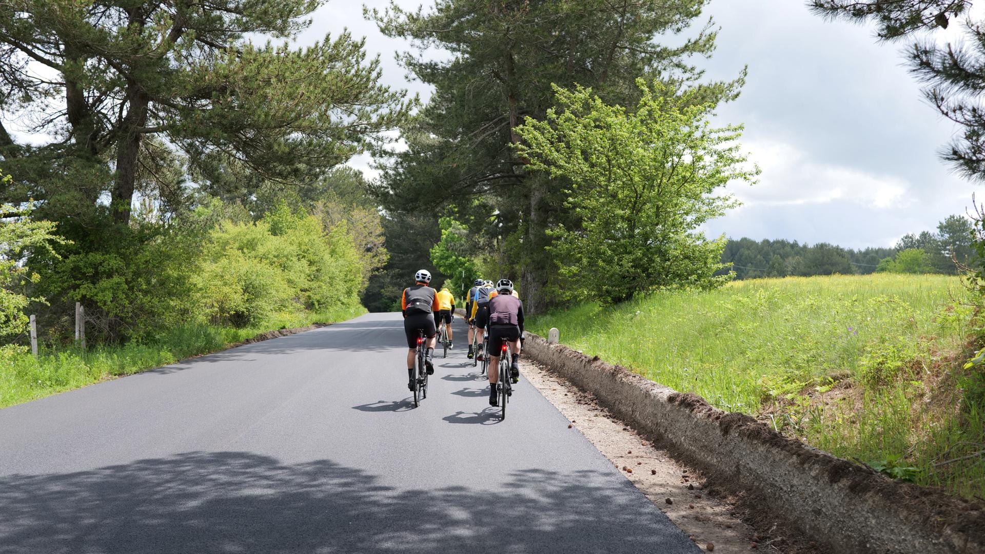 Escursione bike in Sila di gruppo