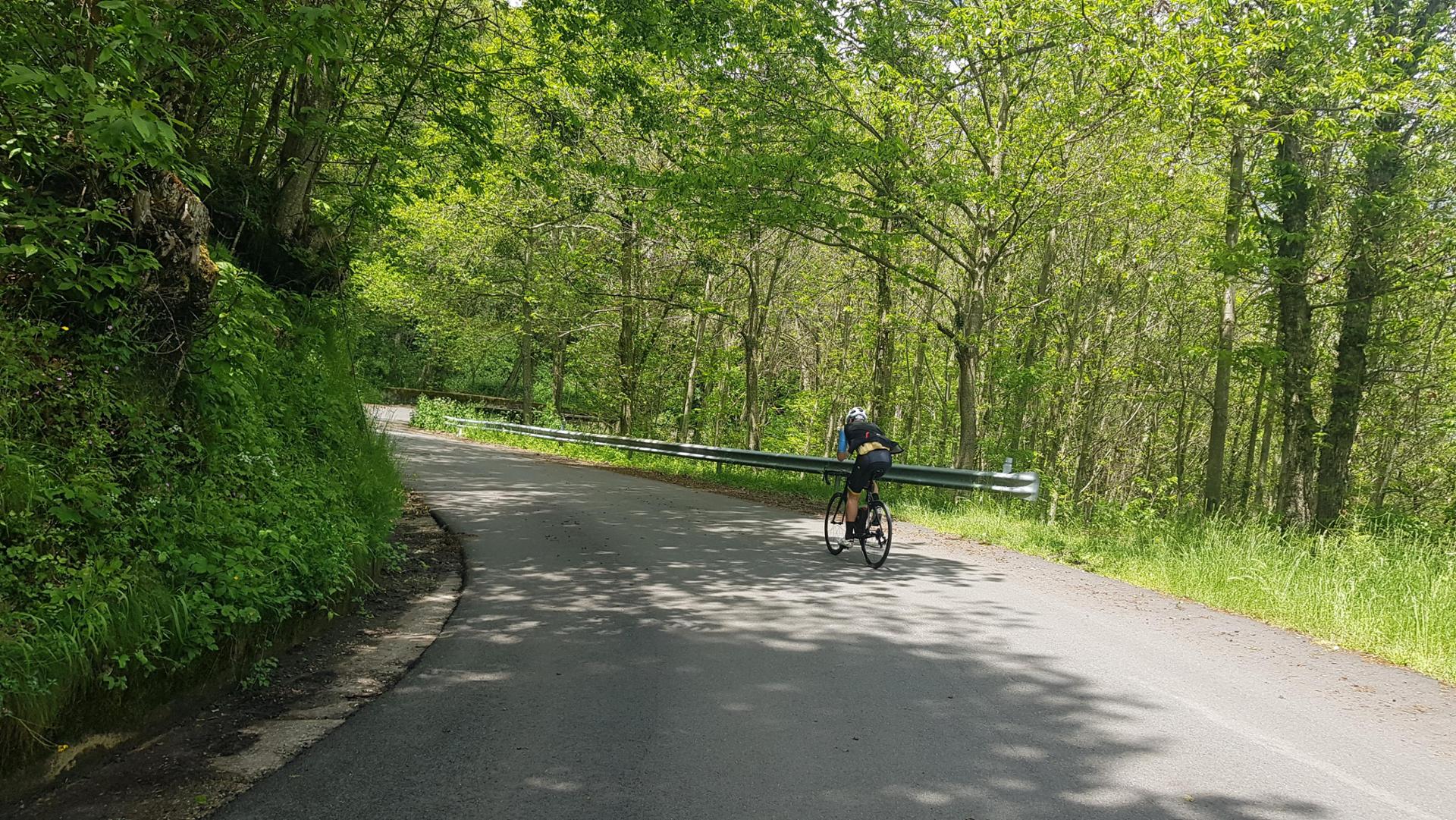 Strada delle Vette Sila