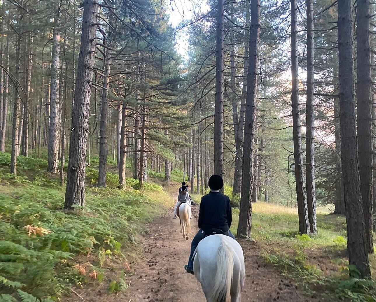 Passeggiata a cavallo_Sila