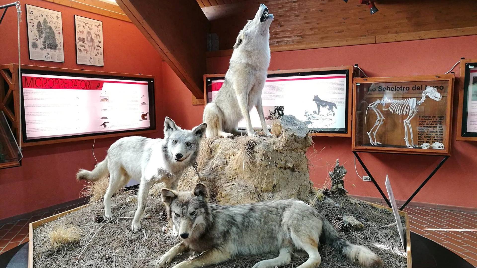 Museo Centro Visite Cupone