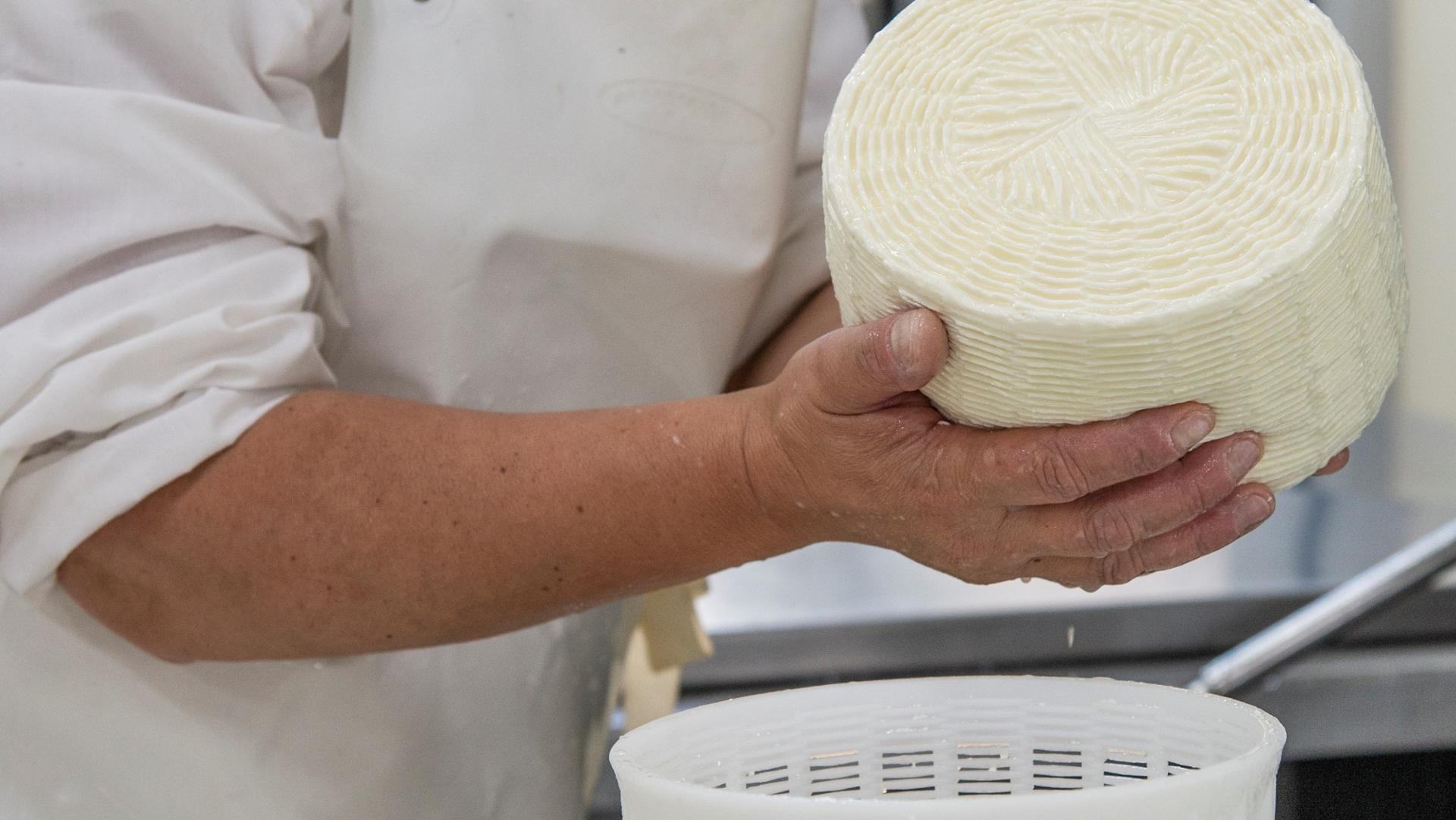 Fattoria didattica in Sila