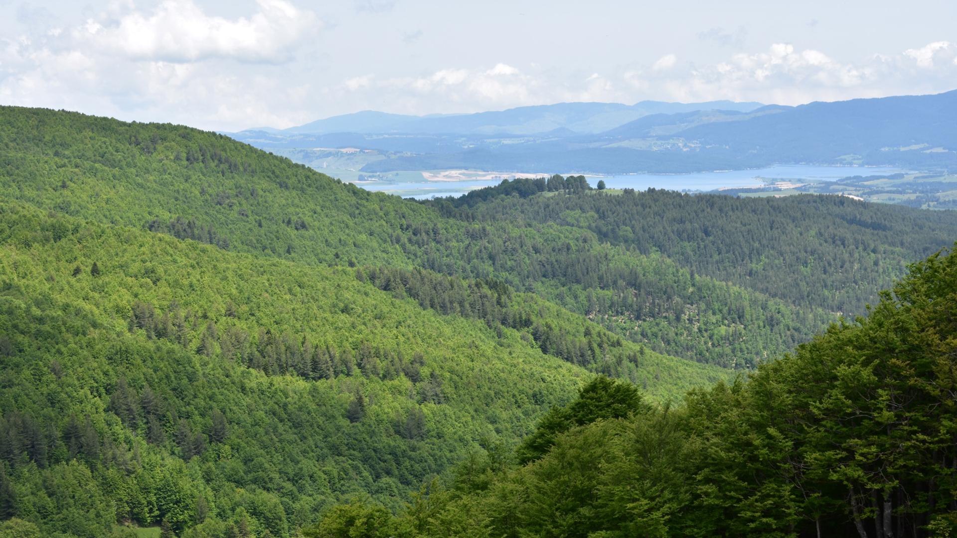 Vista panoramica sul Lago Arvo 