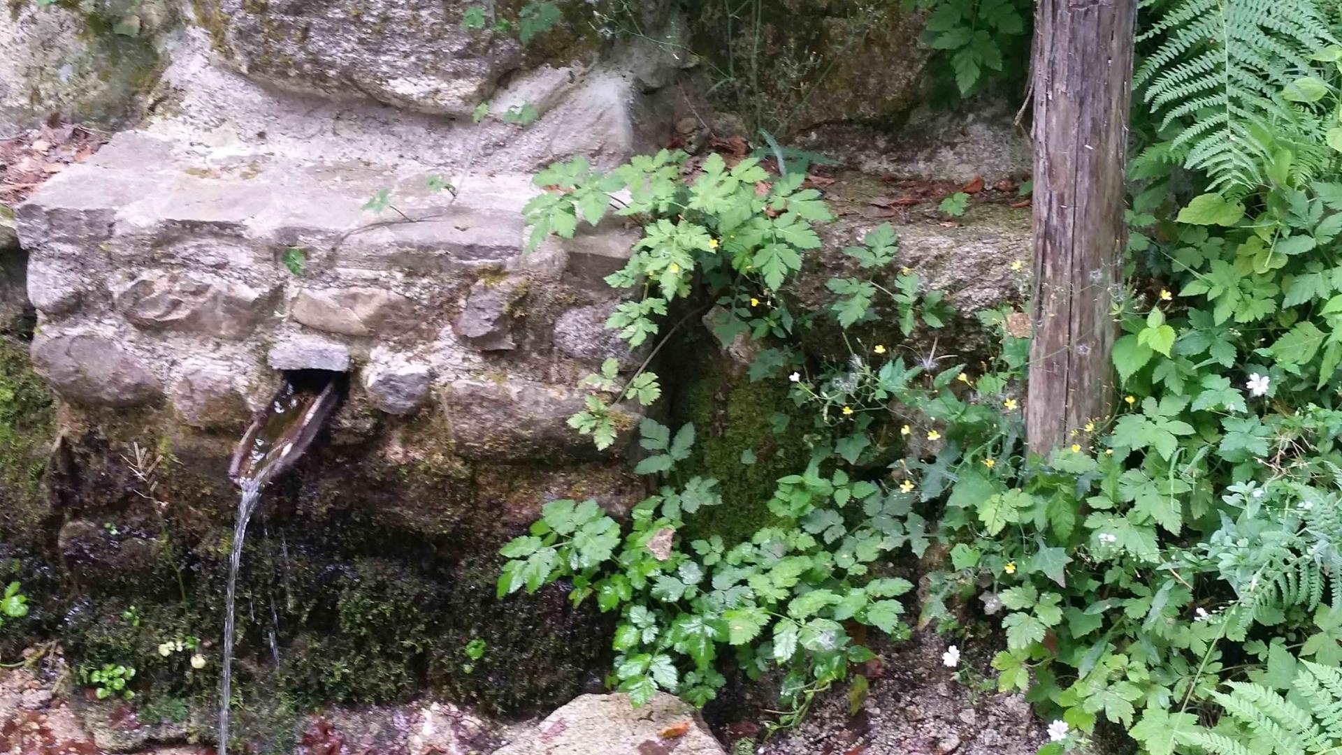 Natura Parco Nazionale della Sila