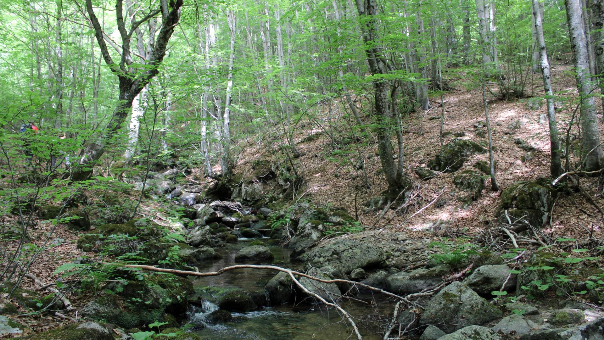 Natura Parco Nazionale della Sila