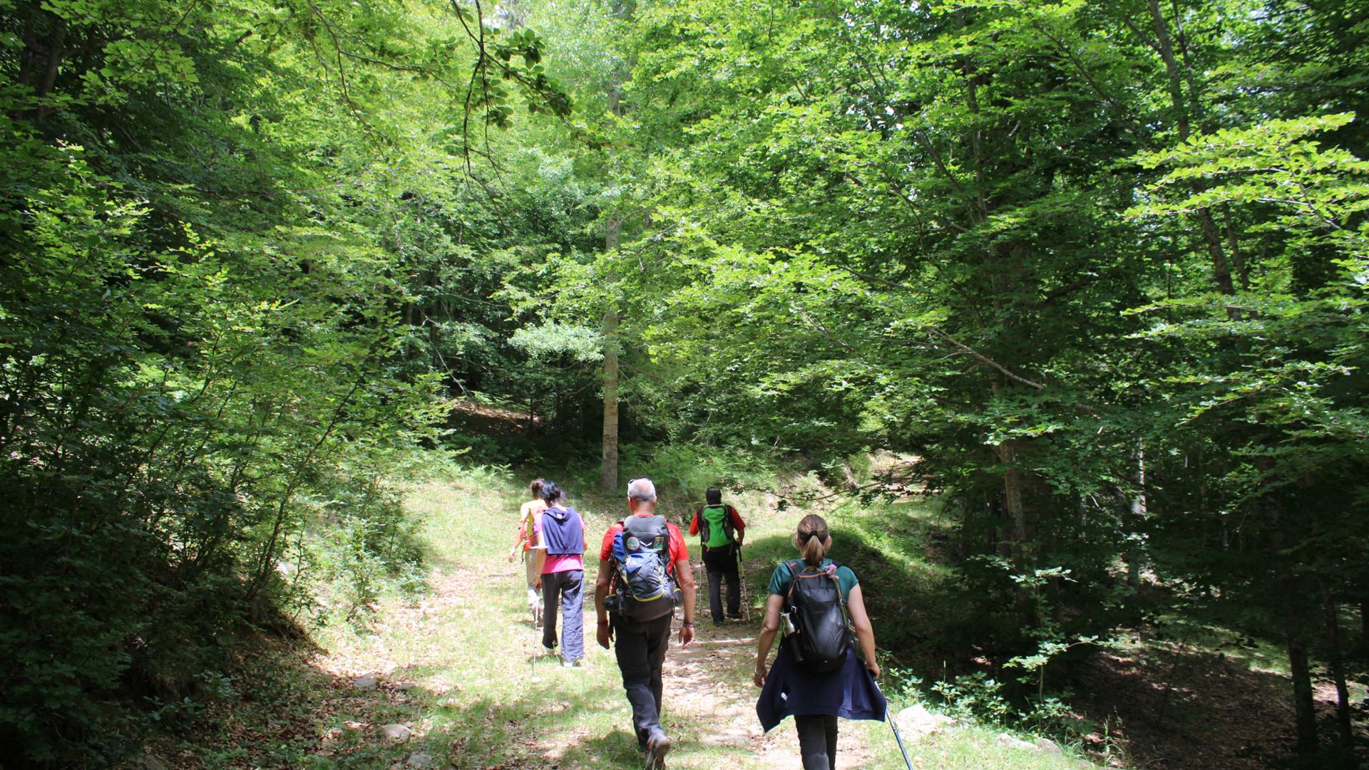 Trekking Centro Visita Cupone