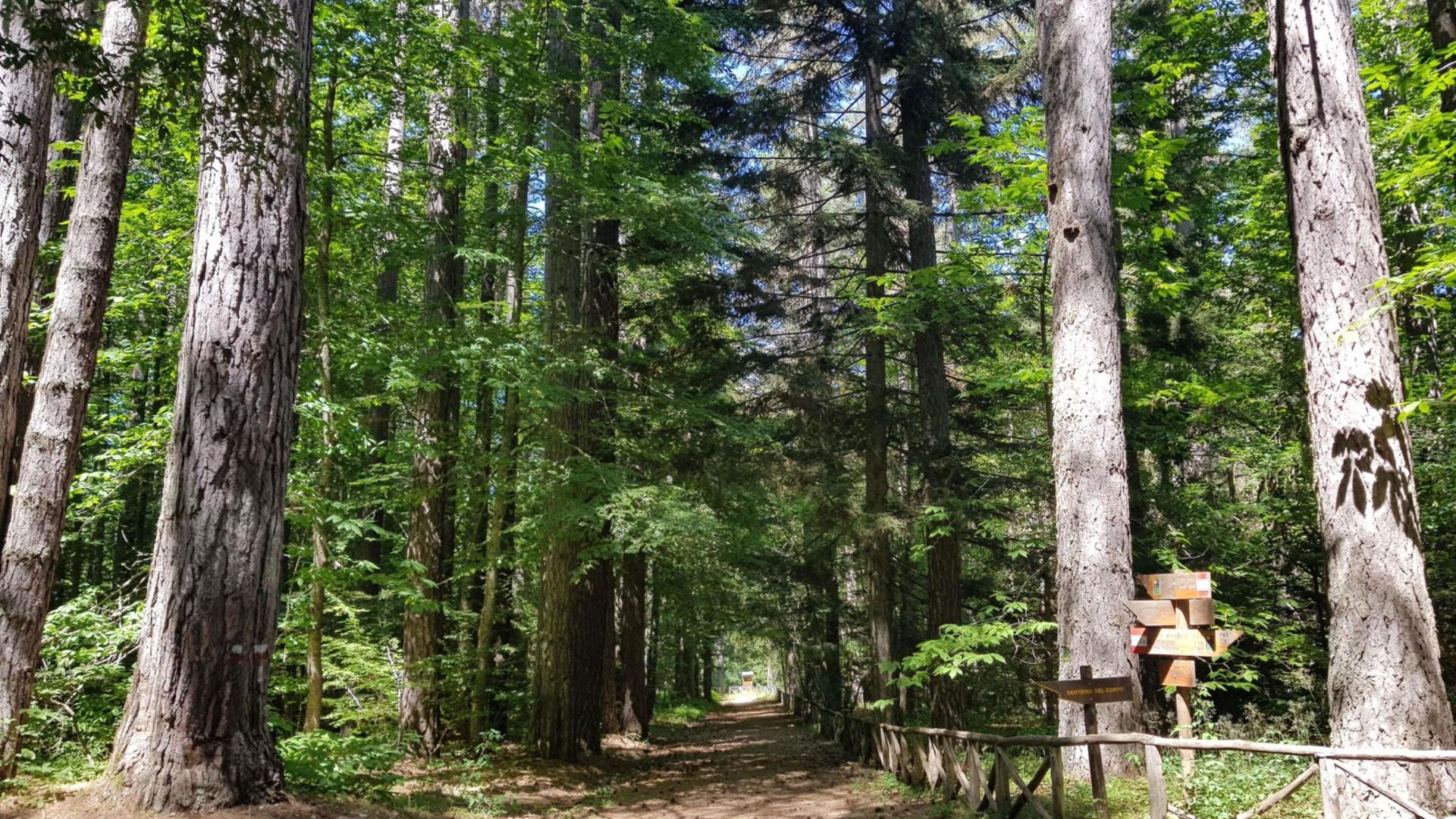 Sentiero natura e relax in Sila