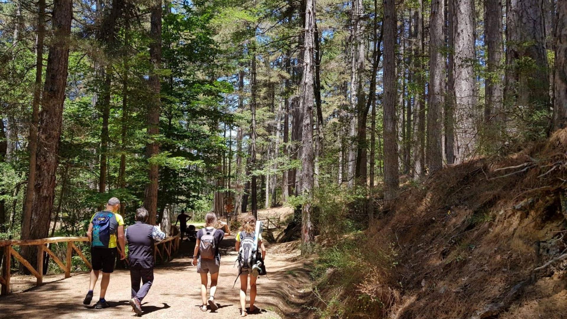 Trekking Centro Visita Cupone