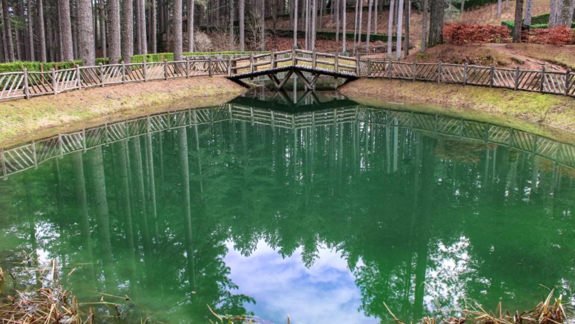 Riserva Biogenetica Poverella Parco Nazionale della Sila Villaggio Mancuso