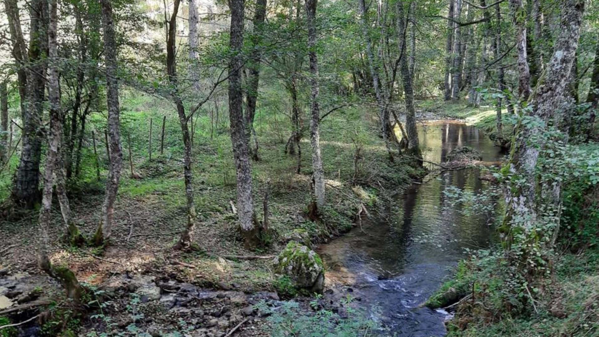 Riserva Biogenetica Poverella Parco Nazionale della Sila Villaggio Mancuso
