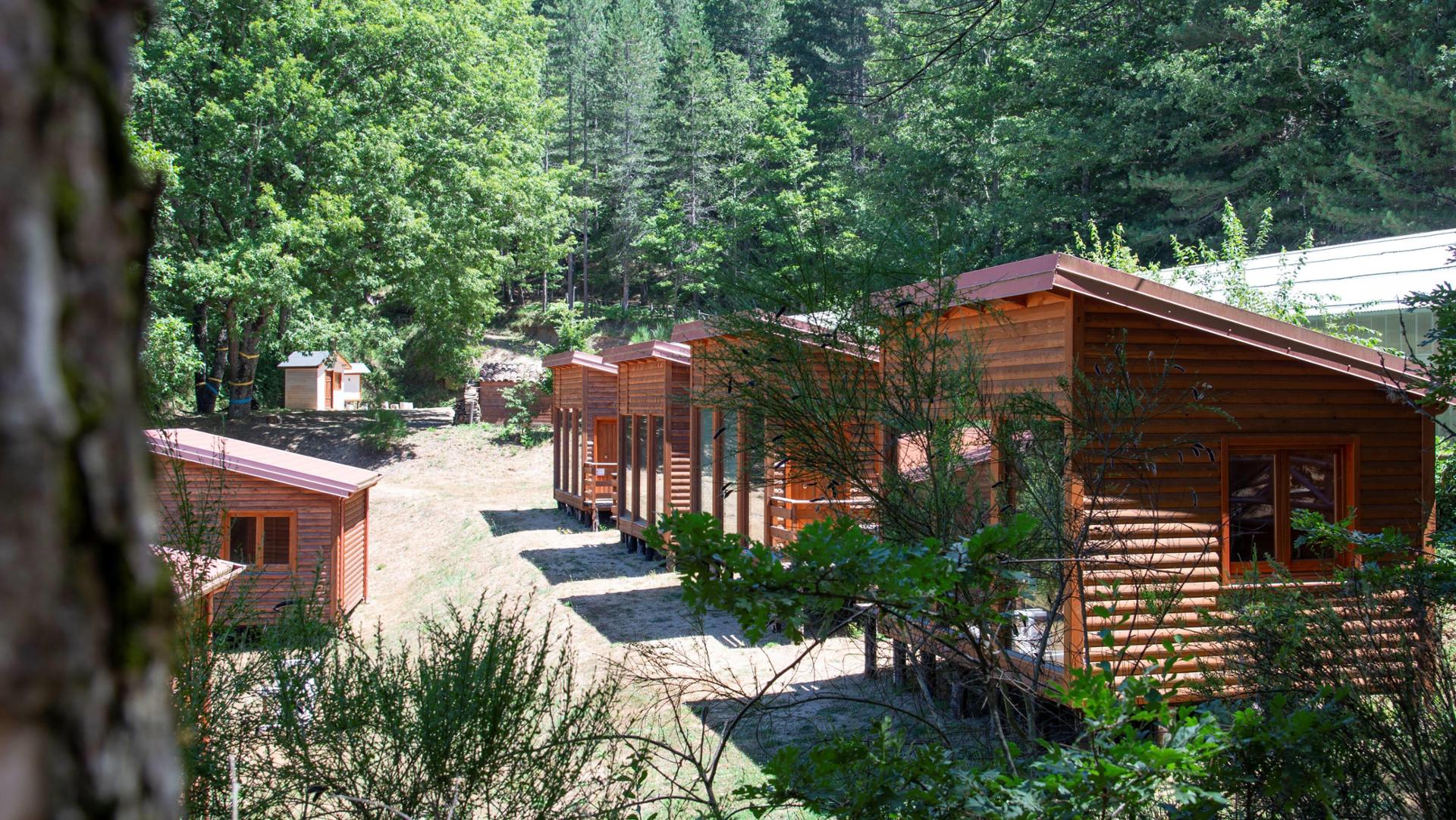 MABOS Museo d'Arte del Bosco della Sila