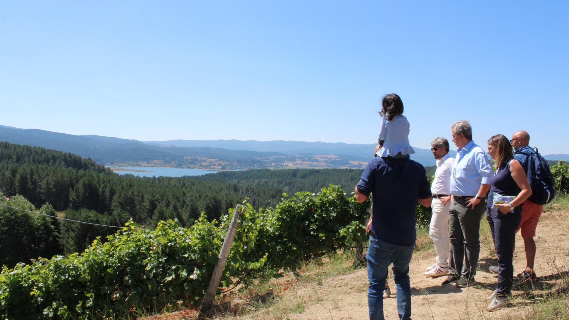 Vigneto più alto d'Europa Cava di Melis