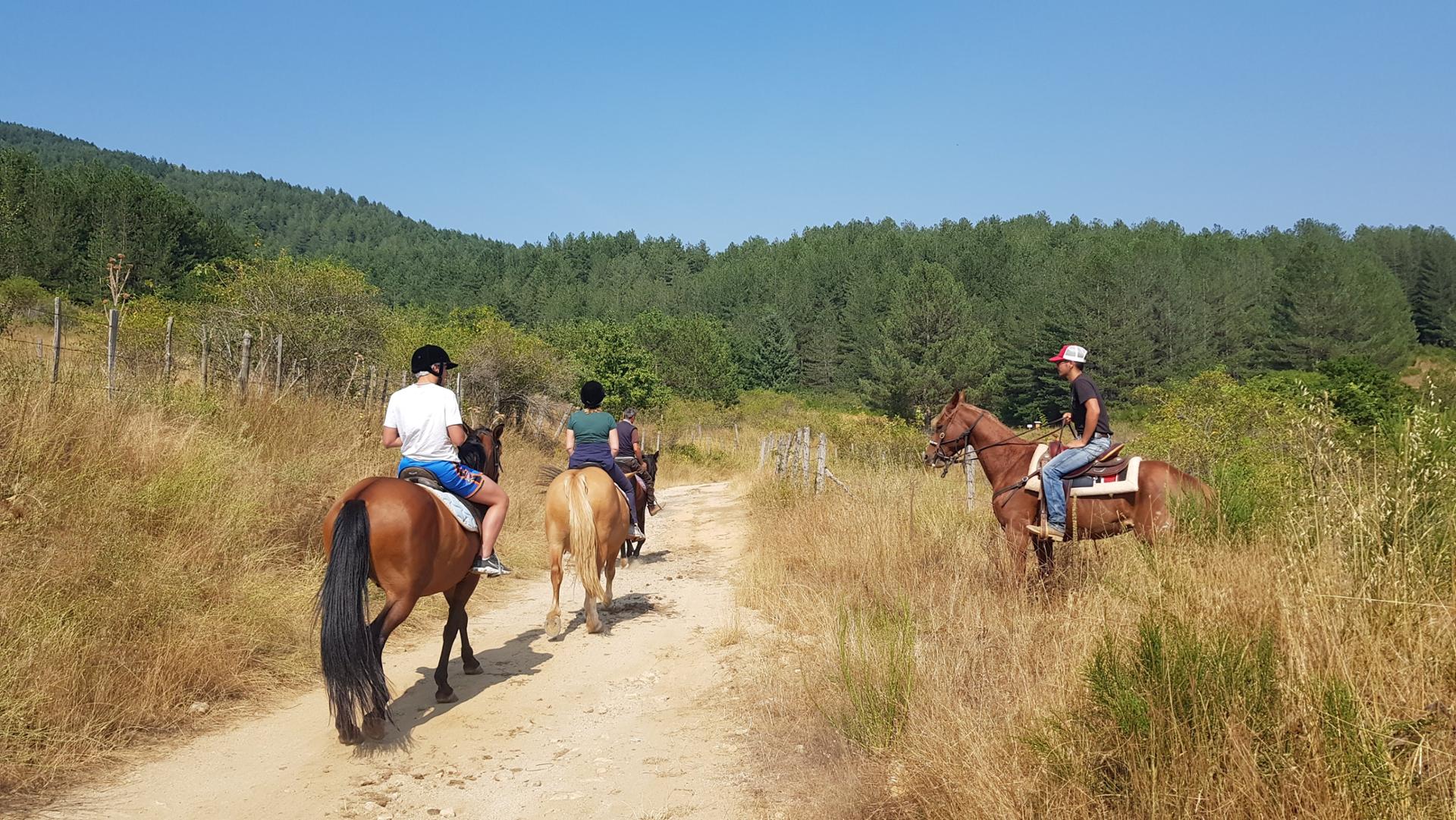 Escursione a cavallo nel Parco Nazionale della Sila