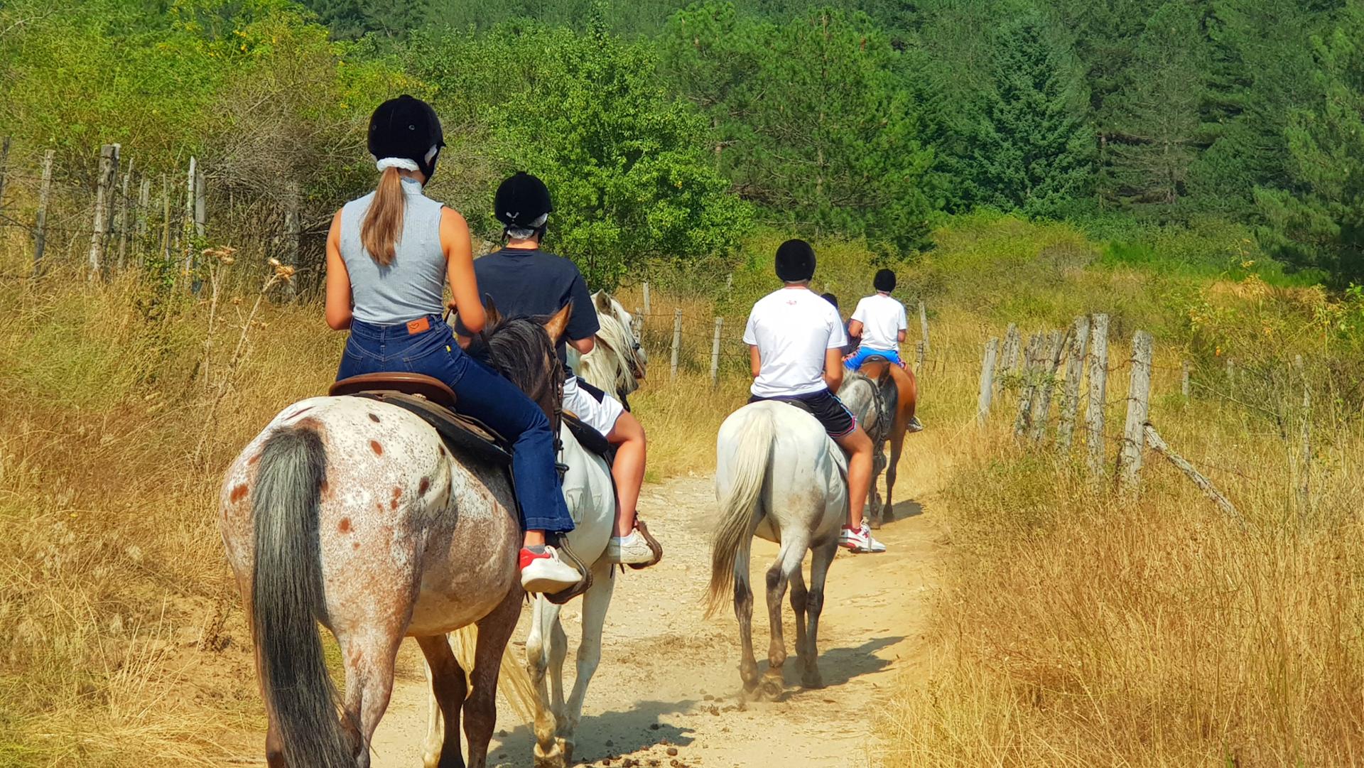 Escursione a cavallo nel Parco Nazionale della Sila