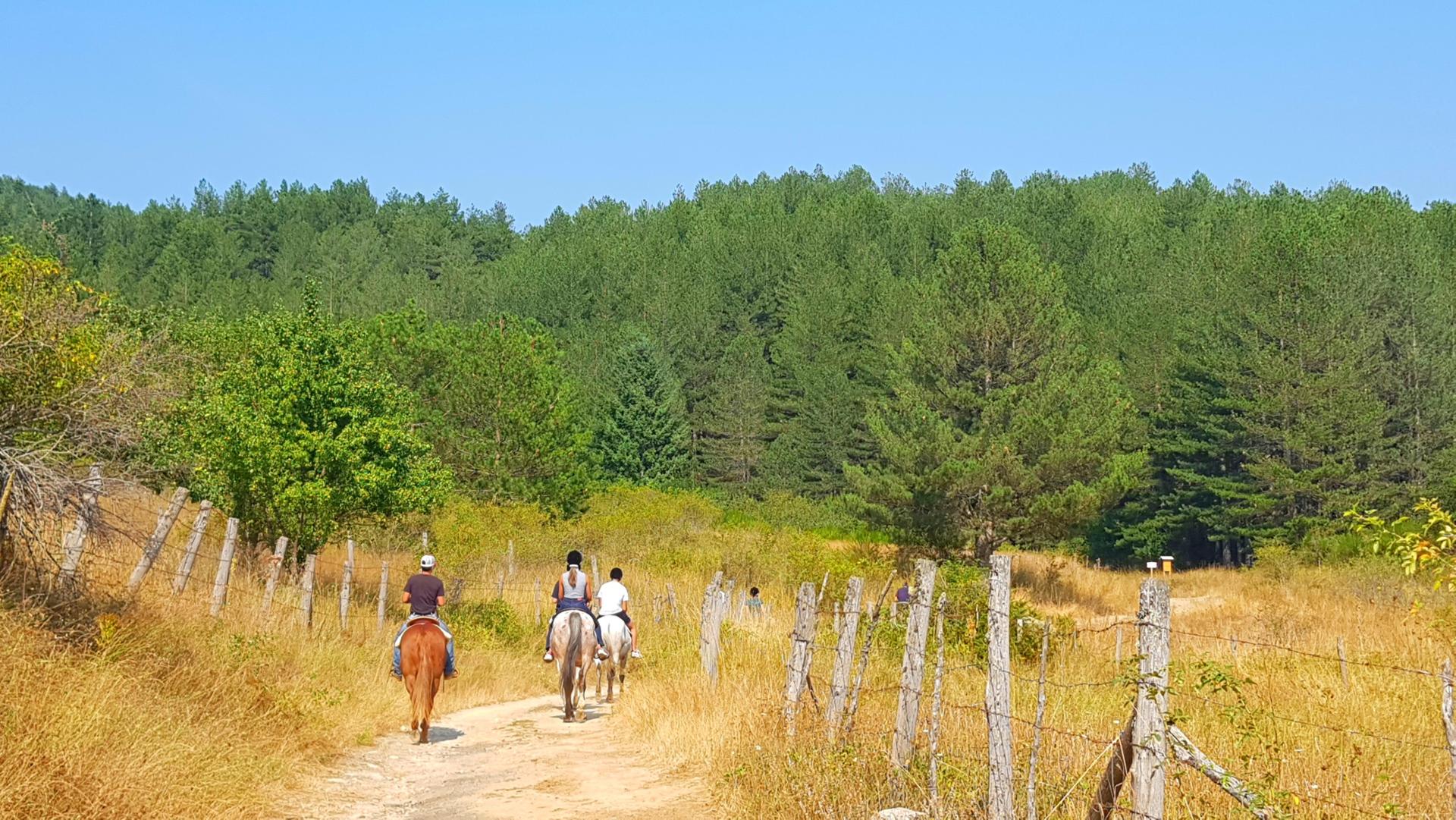 Escursione a cavallo nel Parco Nazionale della Sila