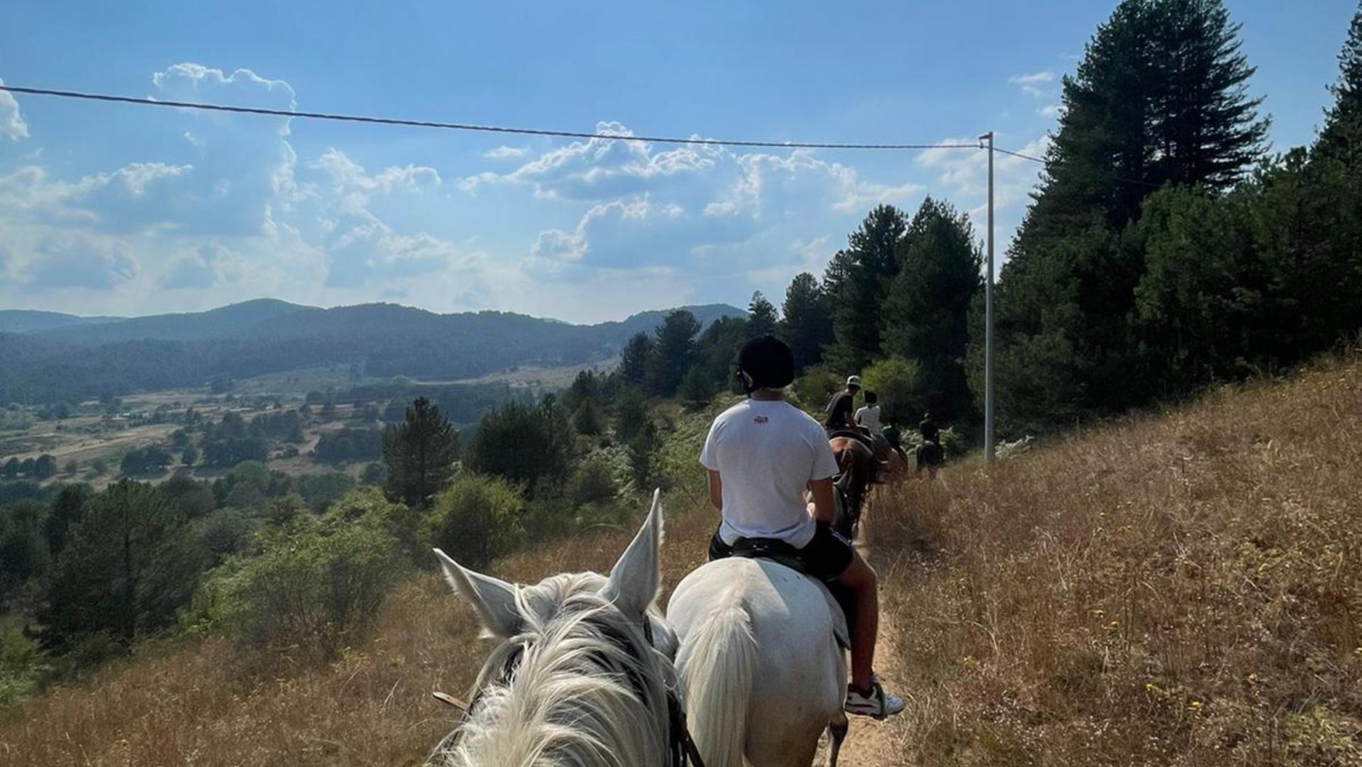 Escursione a cavallo nel Parco Nazionale della Sila