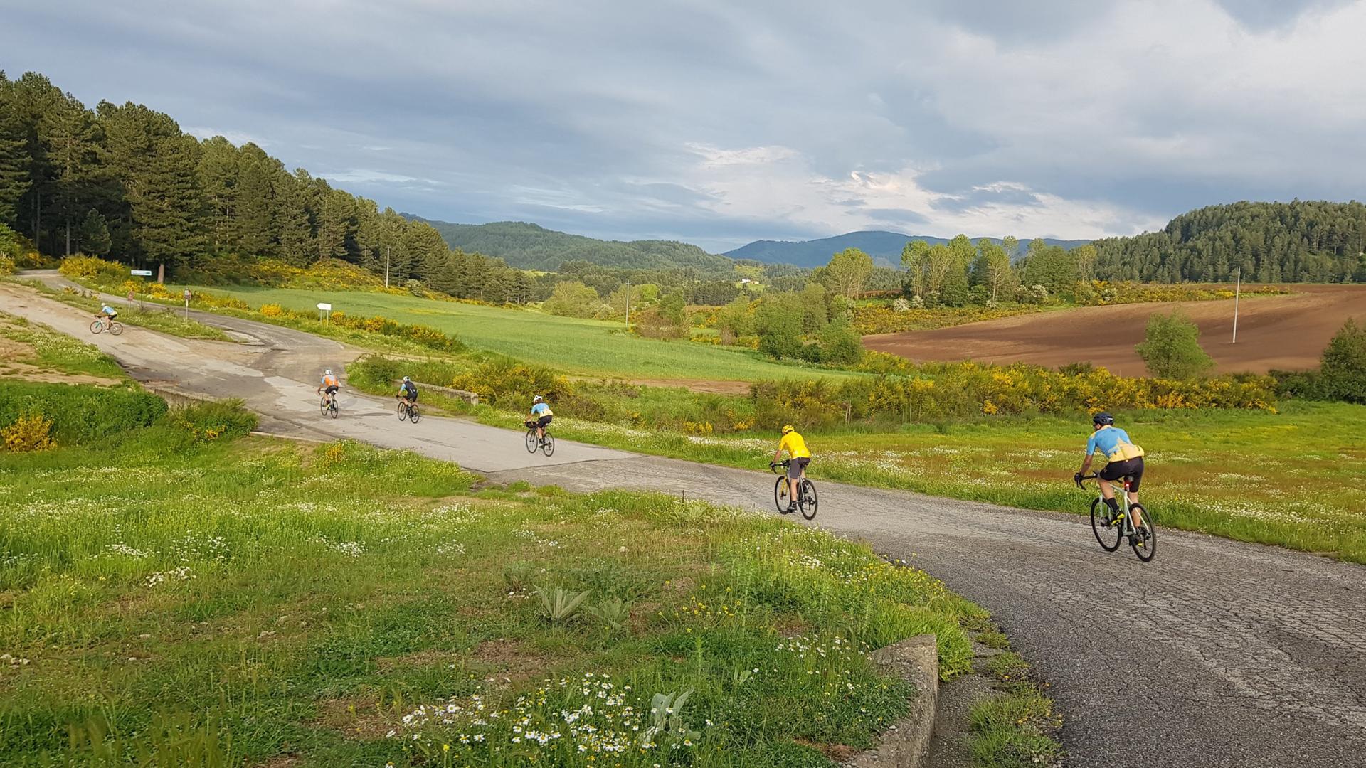 Escursione in e-bike nel Parco Nazionale della Sila