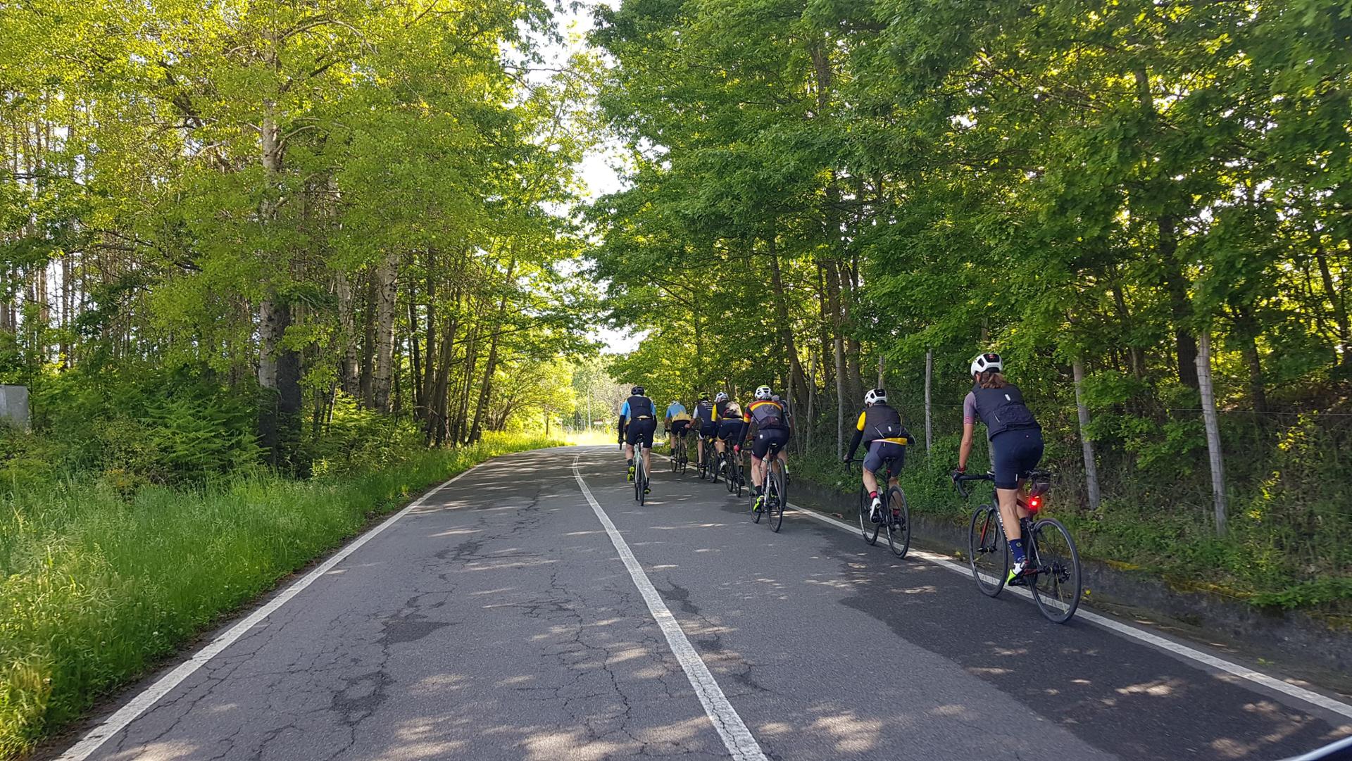 Escursione in e-bike nel Parco Nazionale della Sila