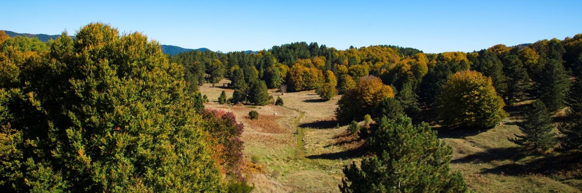 Panorama autunno Sila