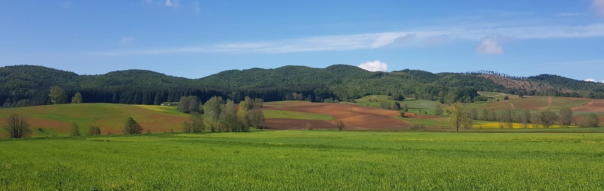 Panorama Sila